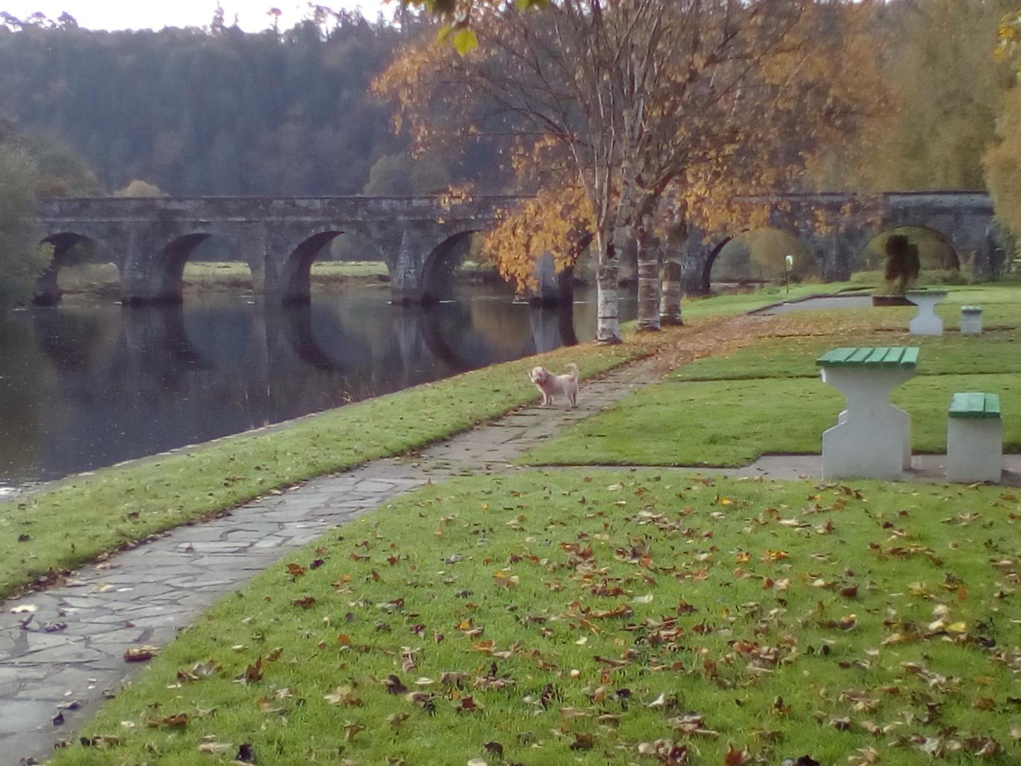 Inistioge Woodstock Arms Bed & Breakfast エクステリア 写真